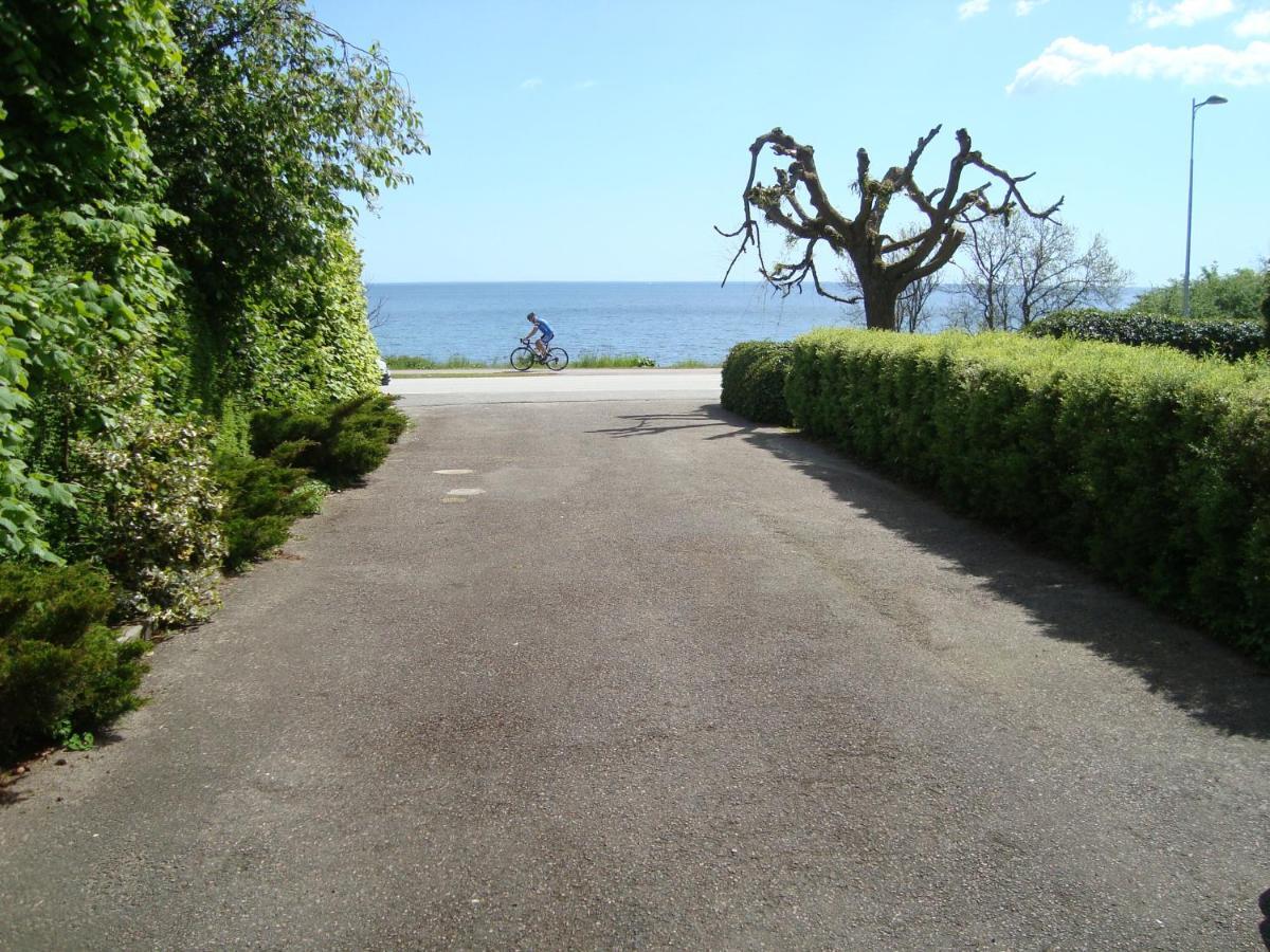 斯塔德Guest Cottege别墅 外观 照片